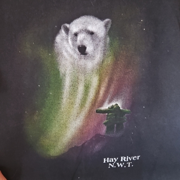 Vintage Polar Bear Nature Canada T-Shirt Northen Lights 100% Cotton Sz. L Black - Picture 2 of 7